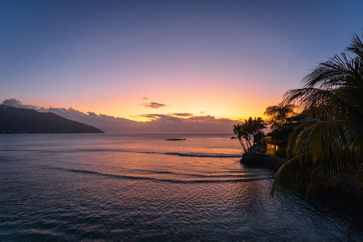 Seychelles island with palm trees