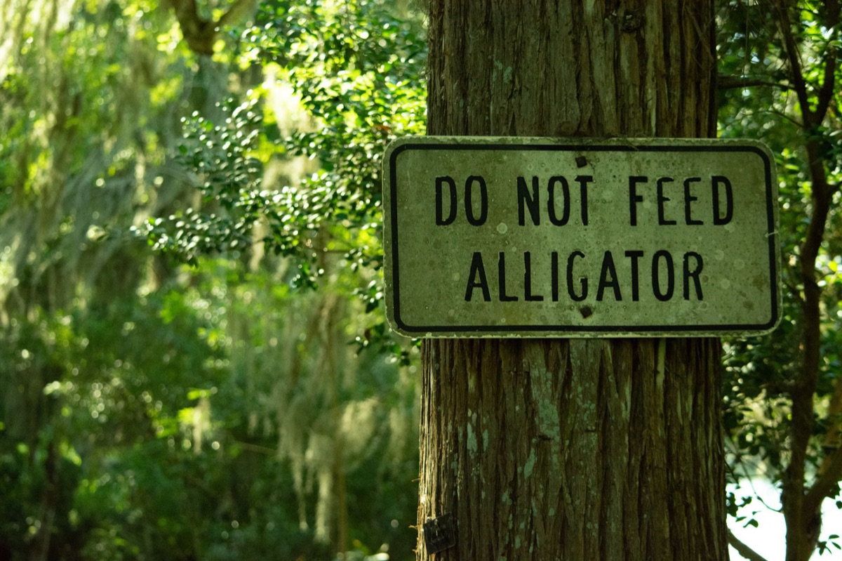 Seychelles Wildlife Conservation Signage