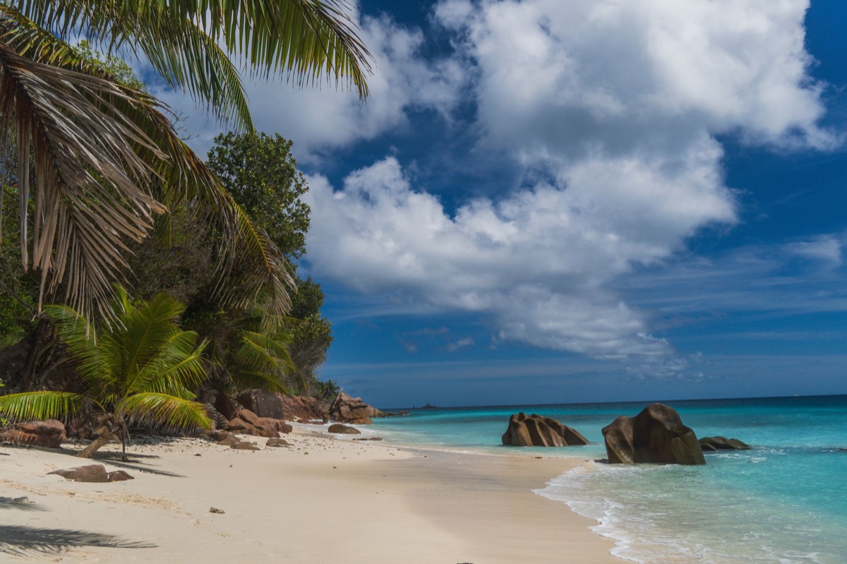 Panorama von einer Seychellen-Insel