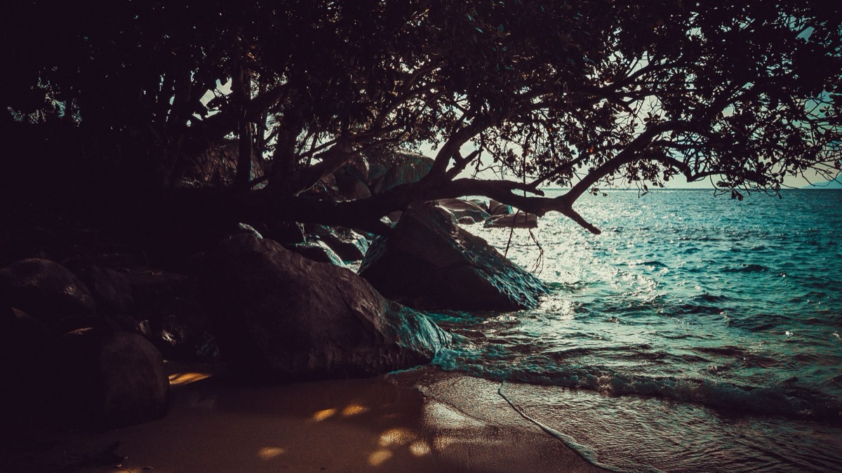 alba sull'isola dei seychelles