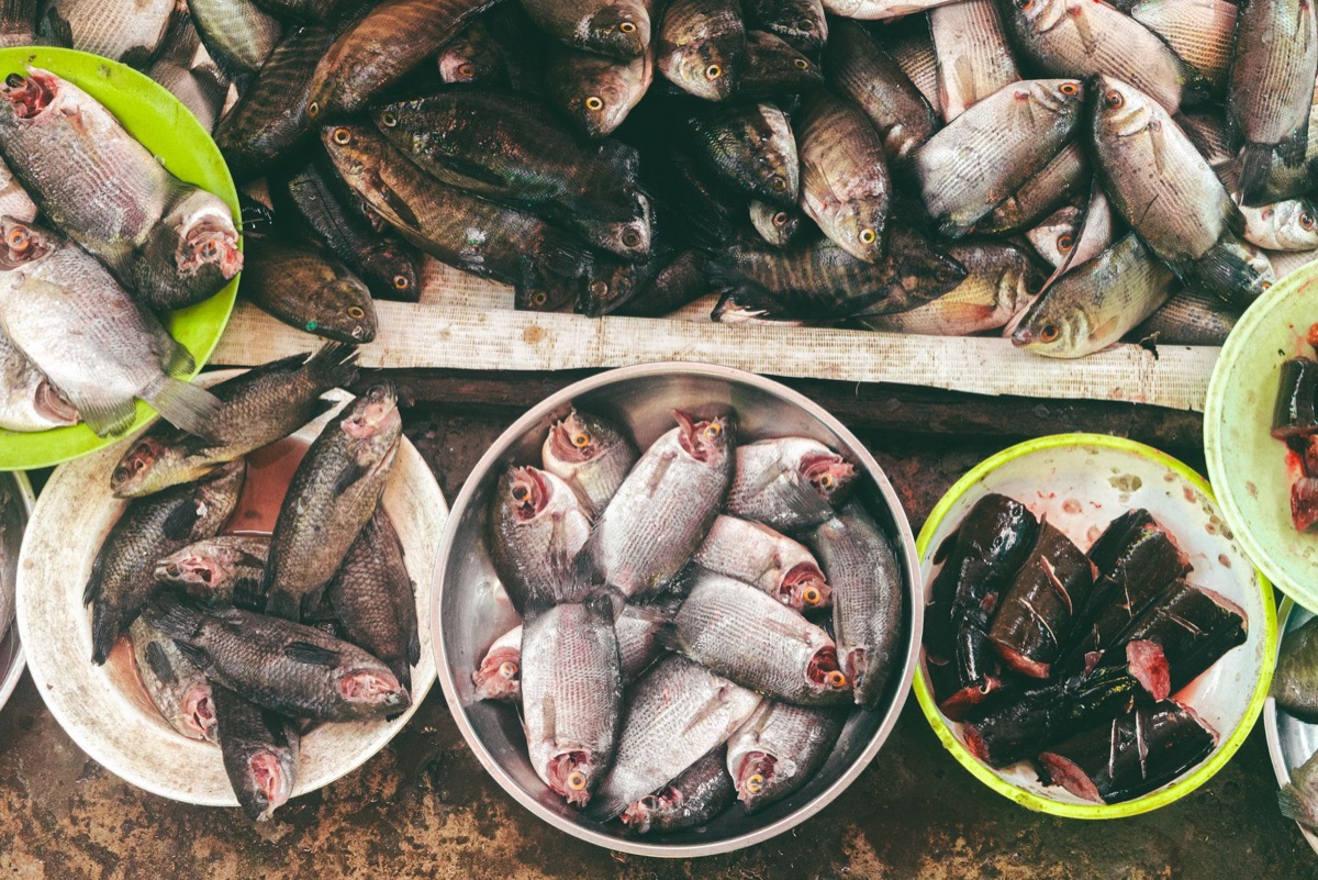 Seychelles creole fish vendor