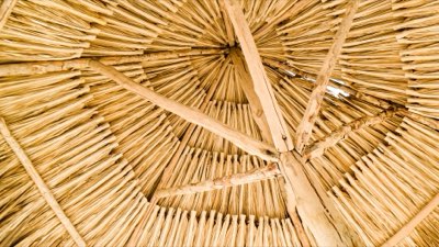 塞席爾文化脈動：維多利亞市場探索克里奧爾靈魂完整指南