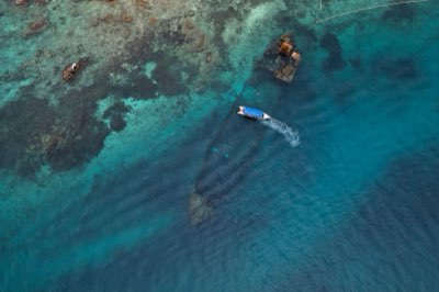 Biodiversité marine : Découvrez les trésors cachés des Seychelles