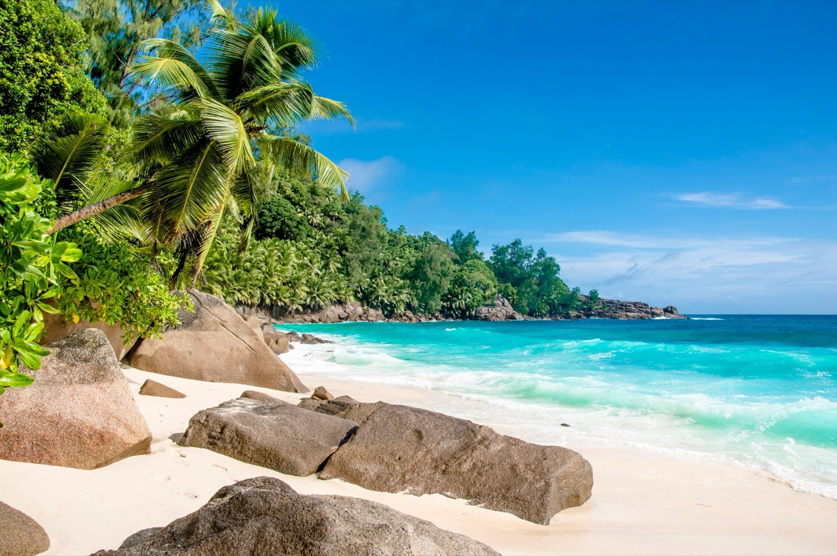Plage de Seychelles avec palmiers