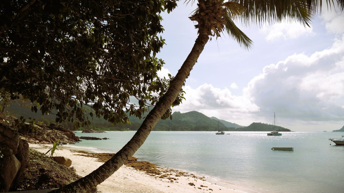 Île de Seychelles à l'aube