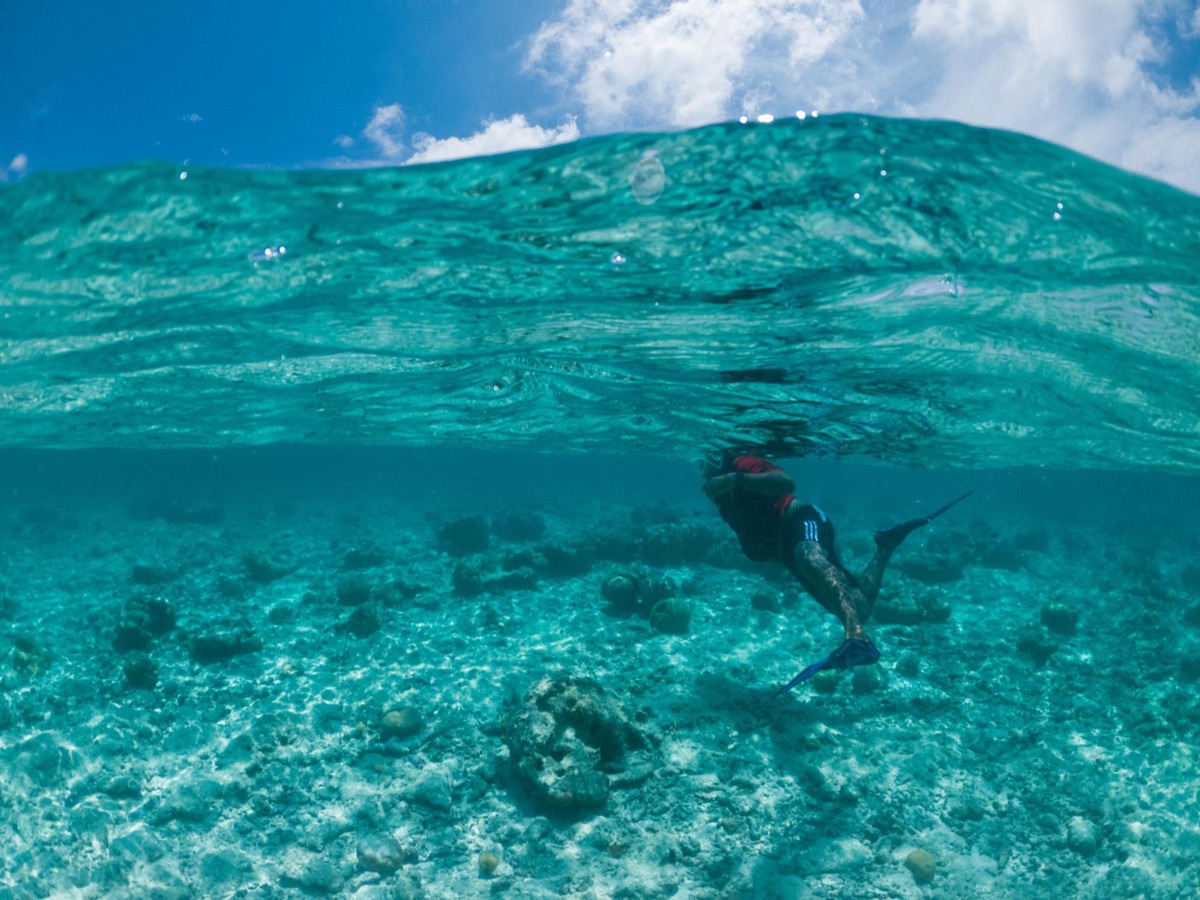 Snorkeling in Lagoon of Radigous Seychelles