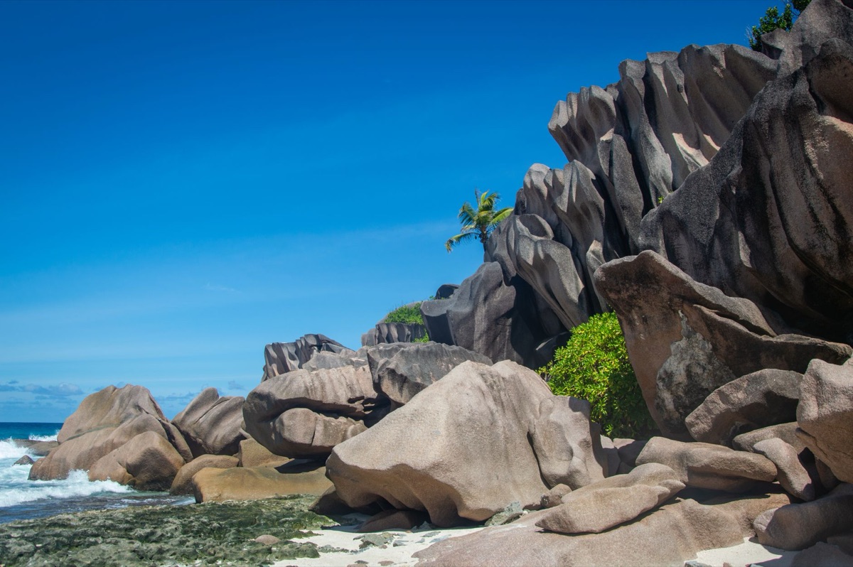 Seychelles Co-Codmeer with Birds