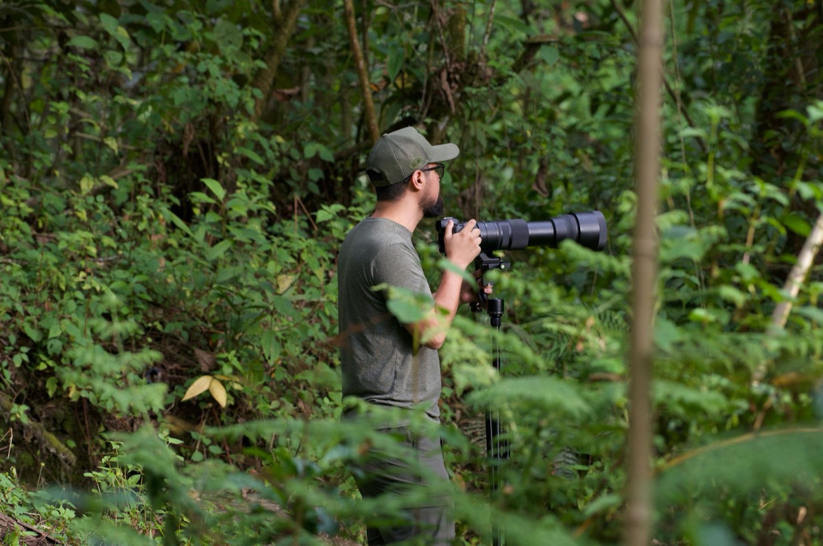 Seychelles wildlife observation in forest
