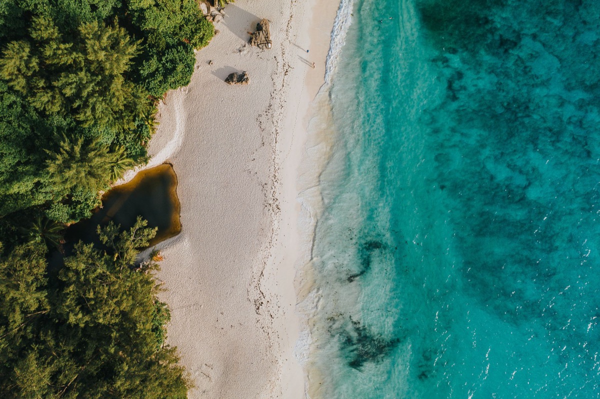 habitacao de tartaruga marinha em seychelles