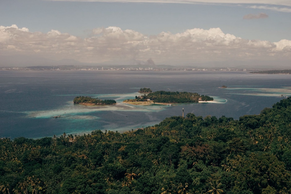 Tropical forest Radig Island, Seychelles