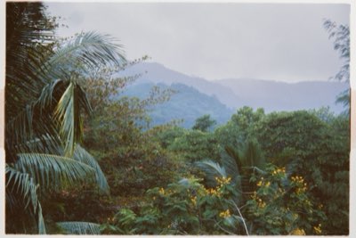 Coco de Mer : Respecter l'écosystème unique de Praslin, 5 étapes