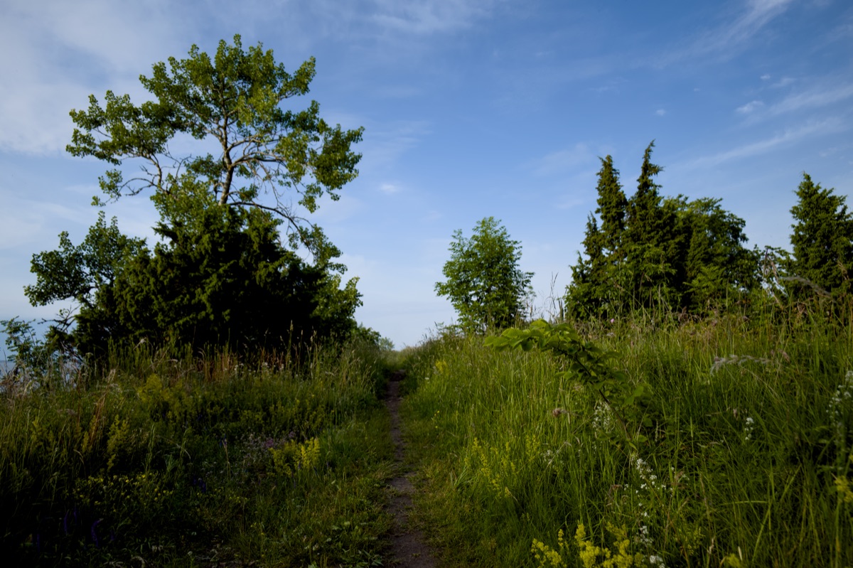Radig Island hiking trail with native plants