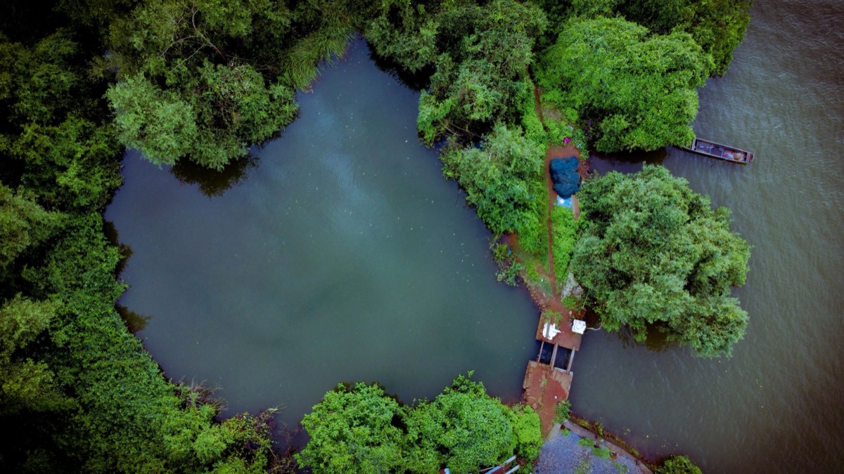 Radig Island with dense forest and water features