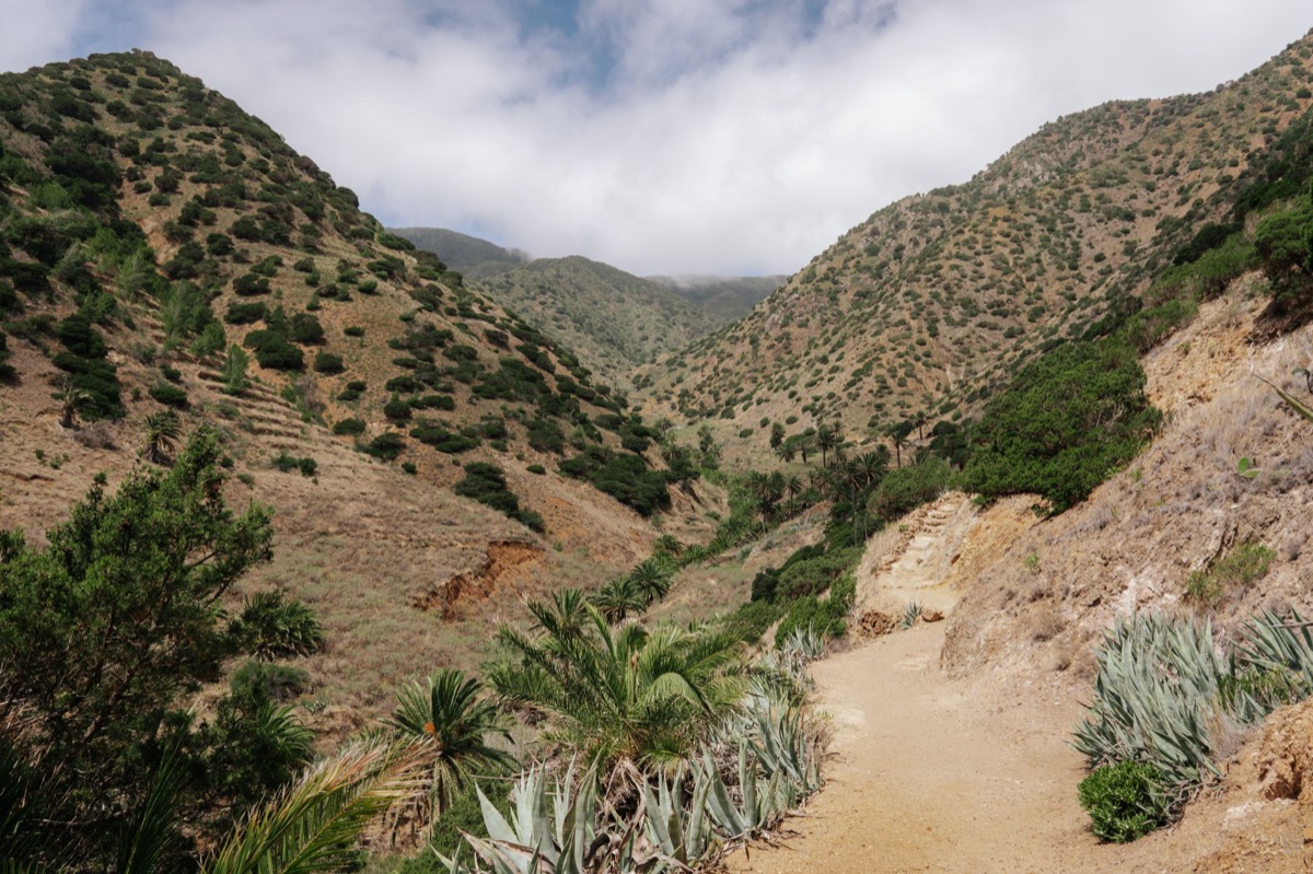 葛摩群島的綠色山巒與棕色土壤