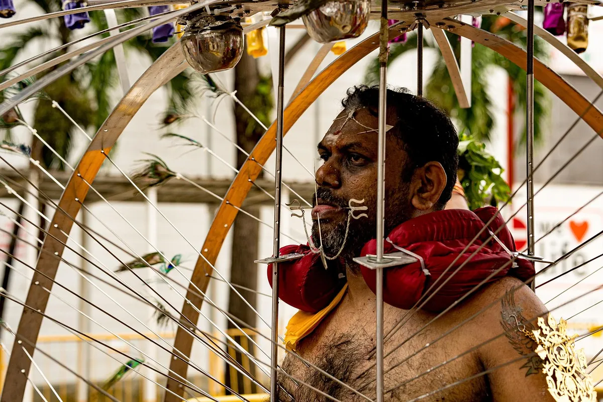 thaipusam, festival, hinduism, enlightenment, religion, pain, kavadi, hindu, hindu festival, man, tradition, culture, thaipusam, thaipusam, thaipusam, thaipusam