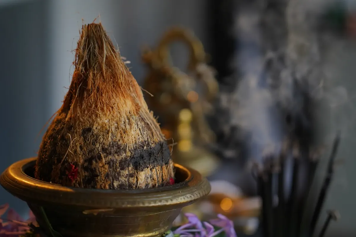 Close-up of a coconut on a pot with incense, representing Tamil Pongal festival in Sri Lanka.