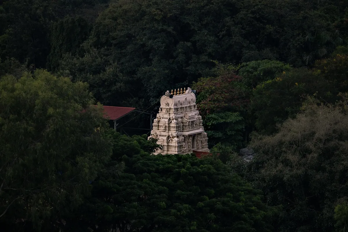 arul mihu navasakthi vinayagar, seychelles, nature, hindu temple, mountain, forest, victoria, woods, landscape